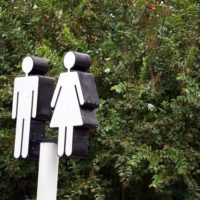 Genesis 1:26 to 2:25 – Made male and female Genesis 1:26 to 2:25 – Made male and female