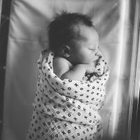 TalkBack – IVF and Cloning TalkBack – IVF and Cloning