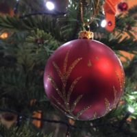 What is going on with your Christmas tree? What is going on with your Christmas tree?