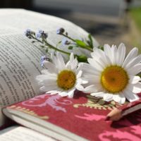 Theology or Therapy? Theology or Therapy?